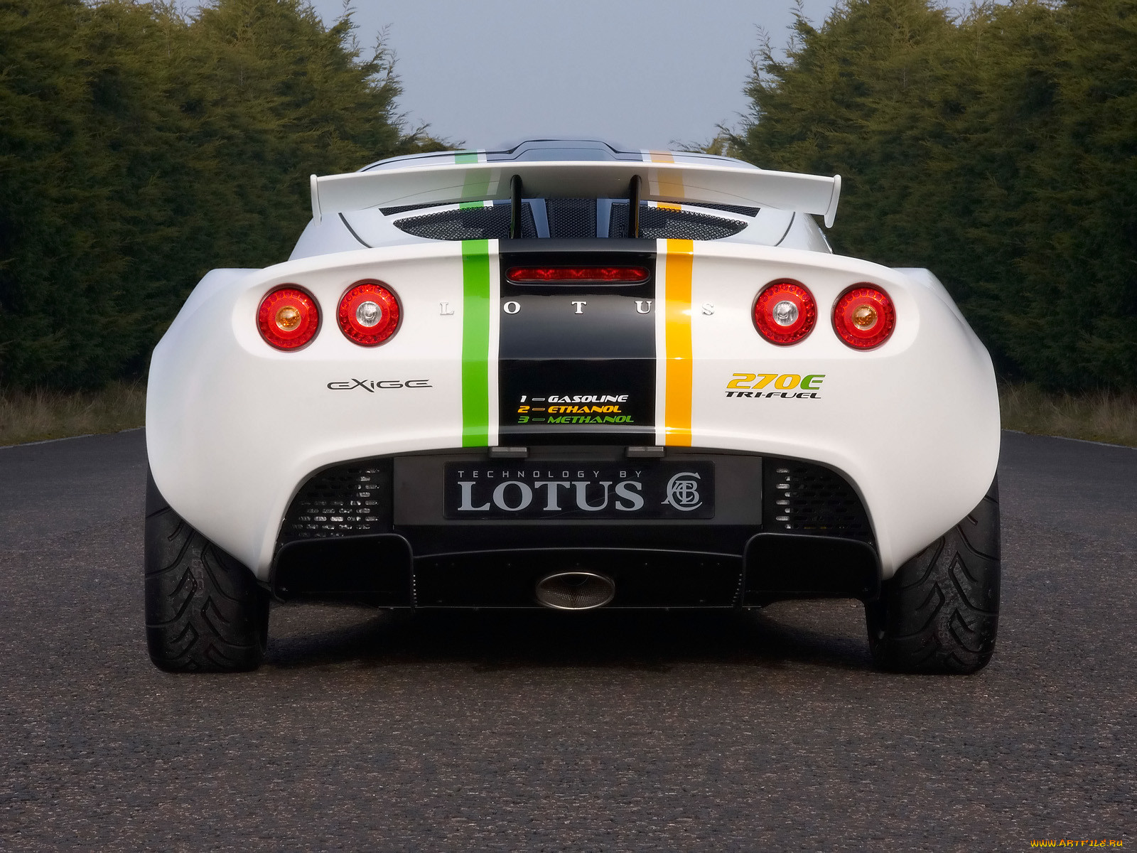 , lotus